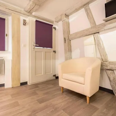 Historic City Center - Petite Venise Suites Colmar Buitenkant foto