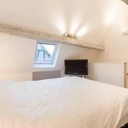 Historic City Center - Petite Venise Suites Colmar Buitenkant foto