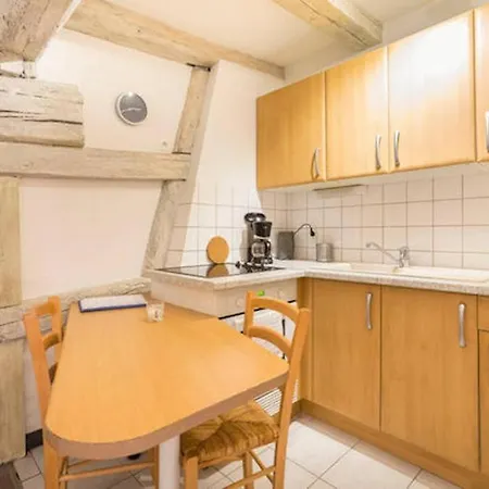 Historic City Center - Petite Venise Suites Colmar Buitenkant foto