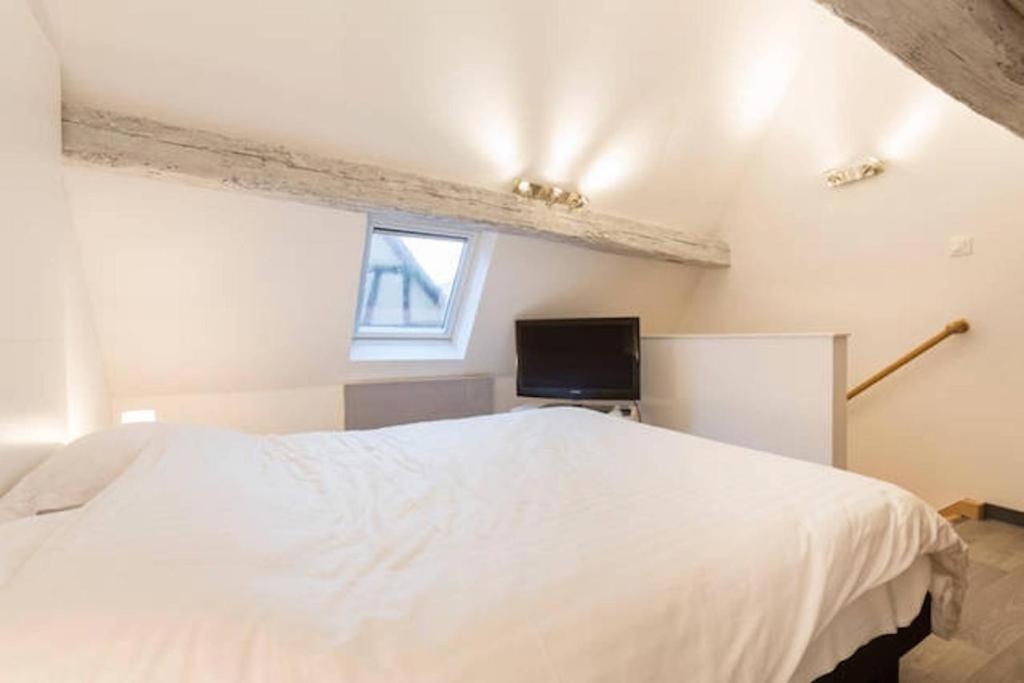 Historic Center - Petite Venise Apartamento Colmar