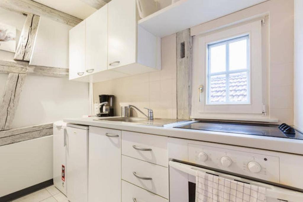 Apartamento Historic Center - Petite Venise Colmar